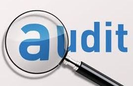 Internal_Audit_Form