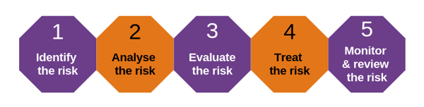 5 steps for risk mgmt