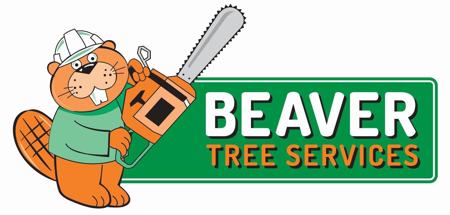 Beaver Tree logo
