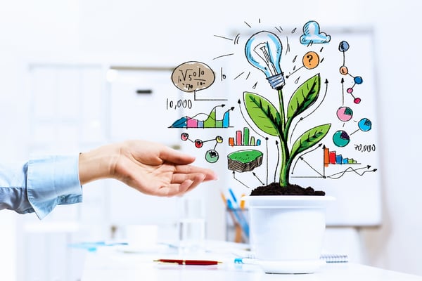 Close-up image of human hand and pot with money tree